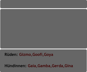 Rüden: Gizmo,Goofi,Goya                        Hündinnen: Gaia,Gamba,Gerda,Gina
