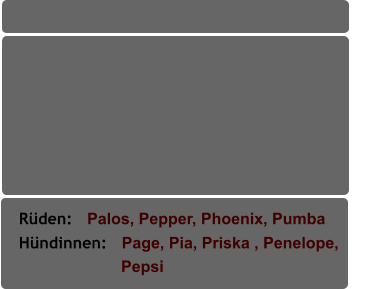 Rüden:   Palos, Pepper, Phoenix, Pumba              Hündinnen:   Page, Pia, Priska , Penelope,                         Pepsi