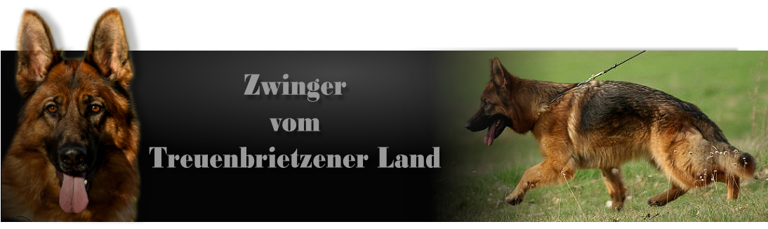 Zwinger vom Treuenbrietzener Land