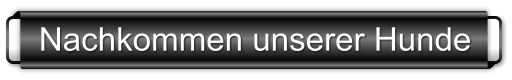 Nachkommen unserer Hunde