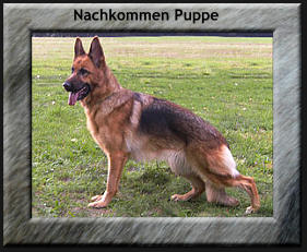 Nachkommen Puppe