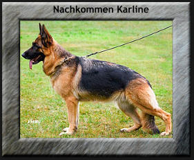 Nachkommen Karline