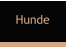 Hunde