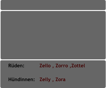 Rüden:          Zello , Zorro ,Zottel            Hündinnen:   Zelly , Zora